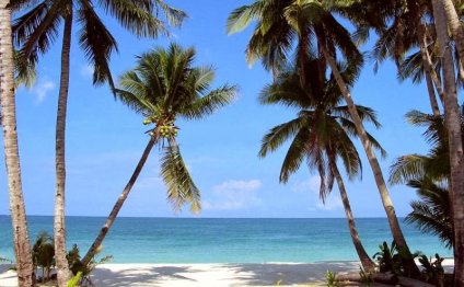 The Beach in PHILIPPIINES