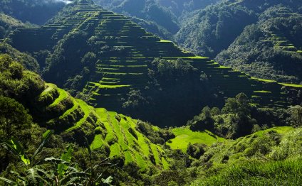 Rice Terraces Banaue