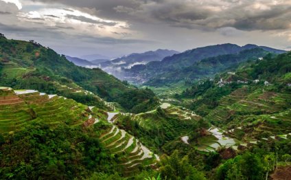 Banaue Rice Terraces