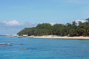 Balicasag Island Beach