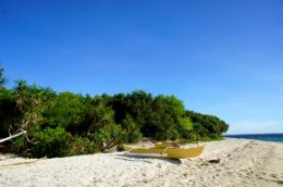 Balicasag Island, Bohol