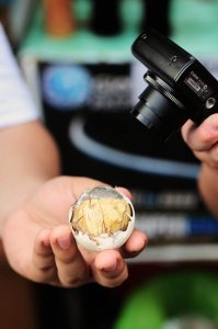 Balut Street Food Philippines