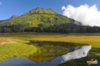 mt apo