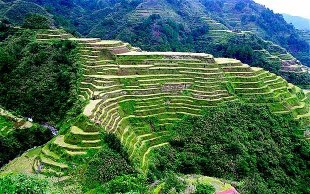Rice terraces in the Philippines preserved