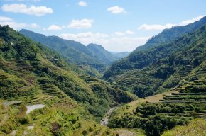 Rice terraces of Ifugao