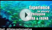 Philippines Tour Guide Vacation & Car Rentals Philippines H